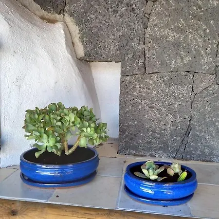 Casa El Olivo Vakantiehuis